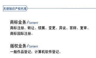 專業(yè)與誠(chéng)信并行——天朋知識(shí)產(chǎn)權(quán)代理與貸款申報(bào)服務(wù)詳解