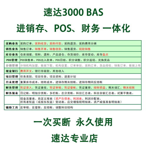 速達(dá)3000BAS基礎(chǔ)版 小微企業(yè)財(cái)務(wù)與代理記賬的高效工具